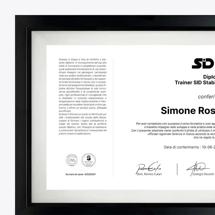 Diploma Trainer SID Stability