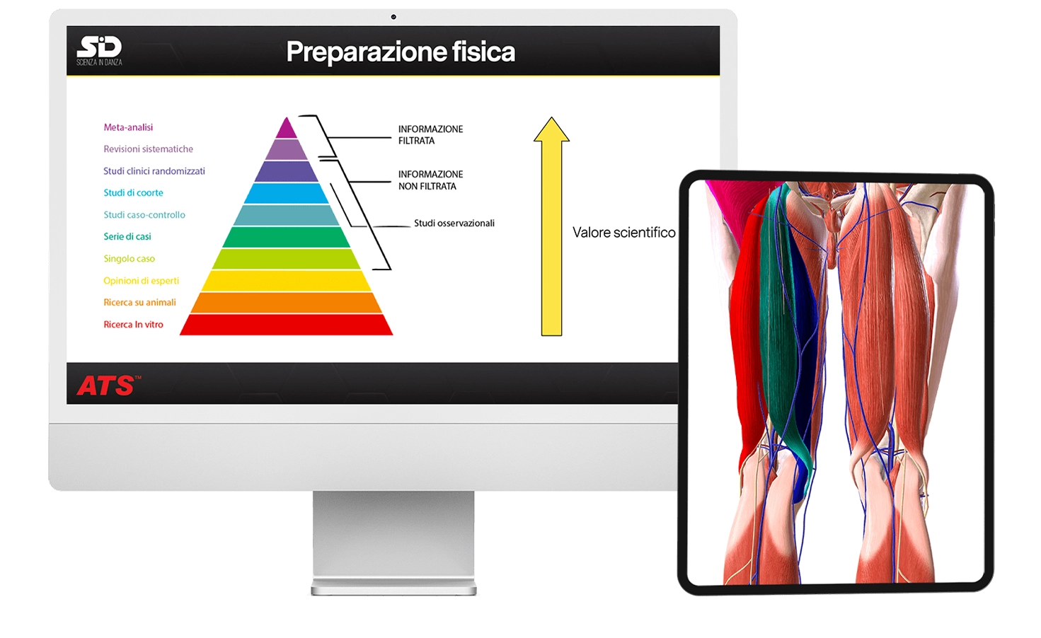 Streaming On-Demand Scienza in Danza