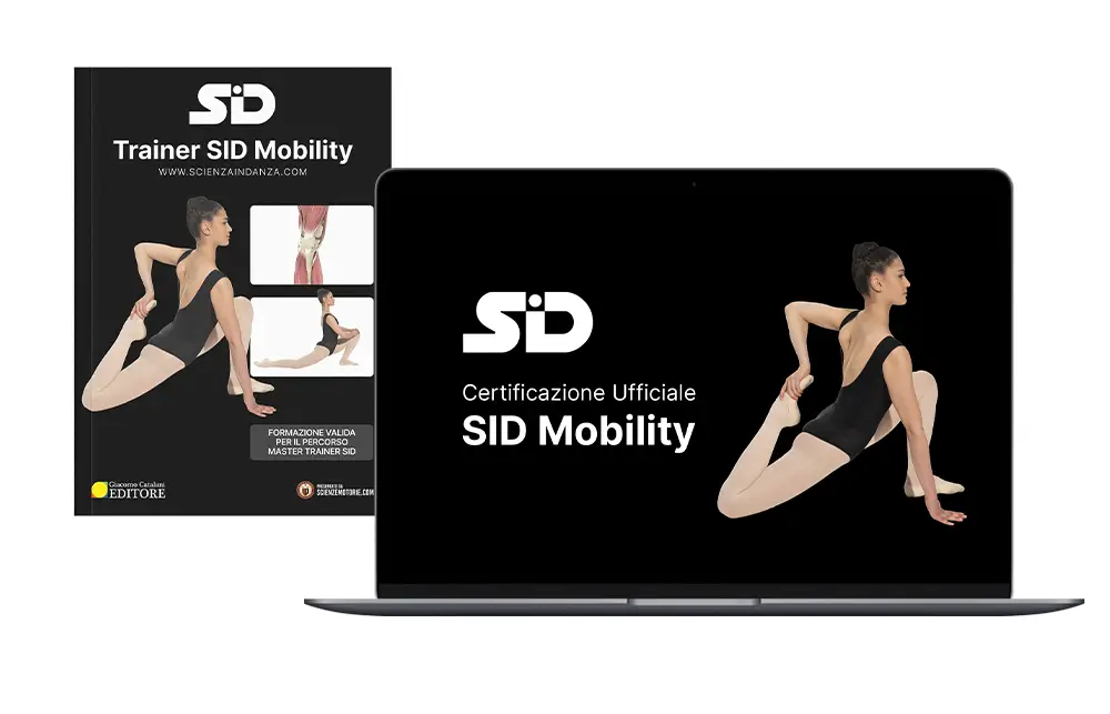 Video Corso SID Mobility