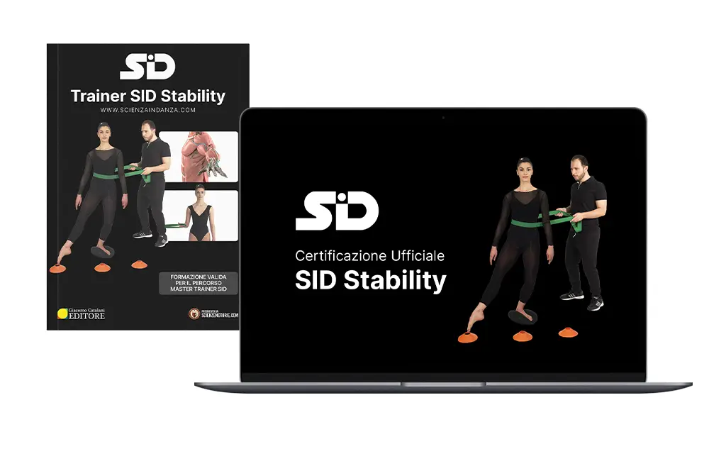 Video Corso SID Stability